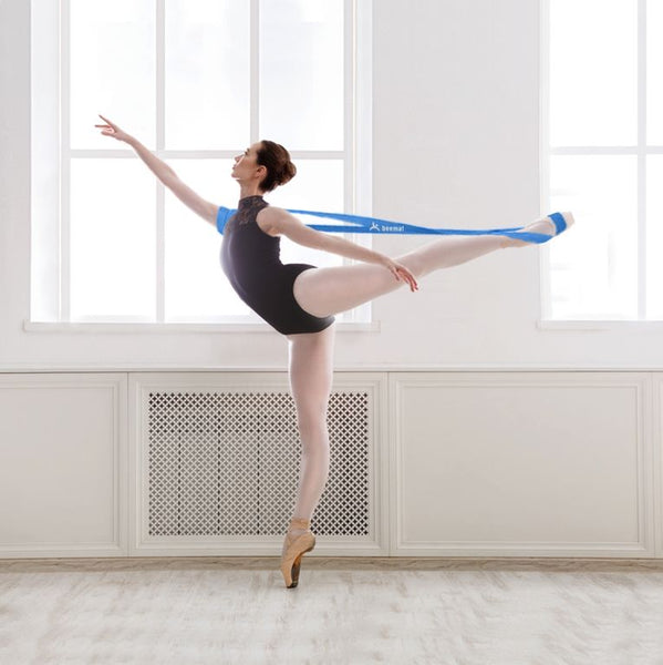 Beemat Ballet Barre, Adjustable Ballet Barre