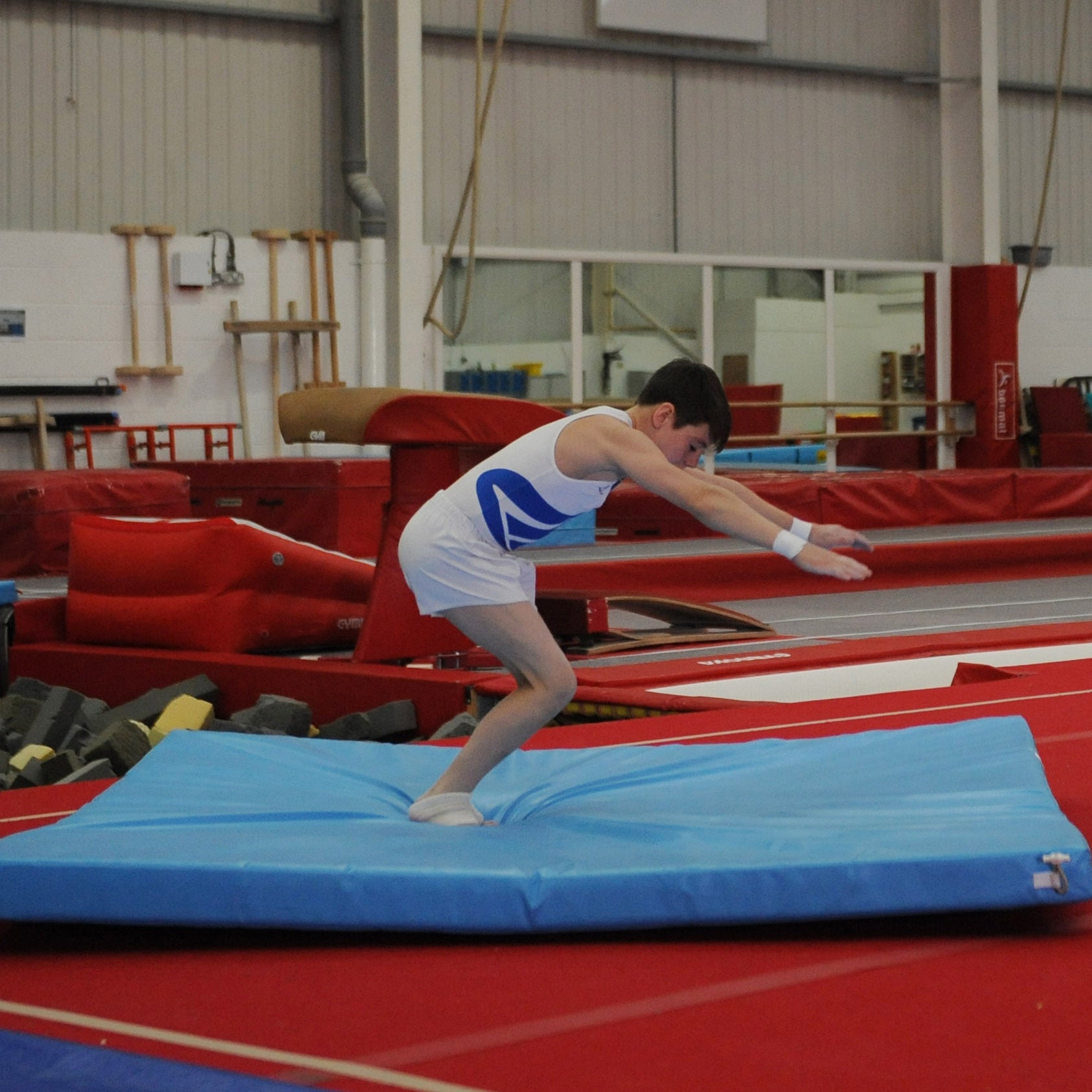 Gymnastics shops landing mats for